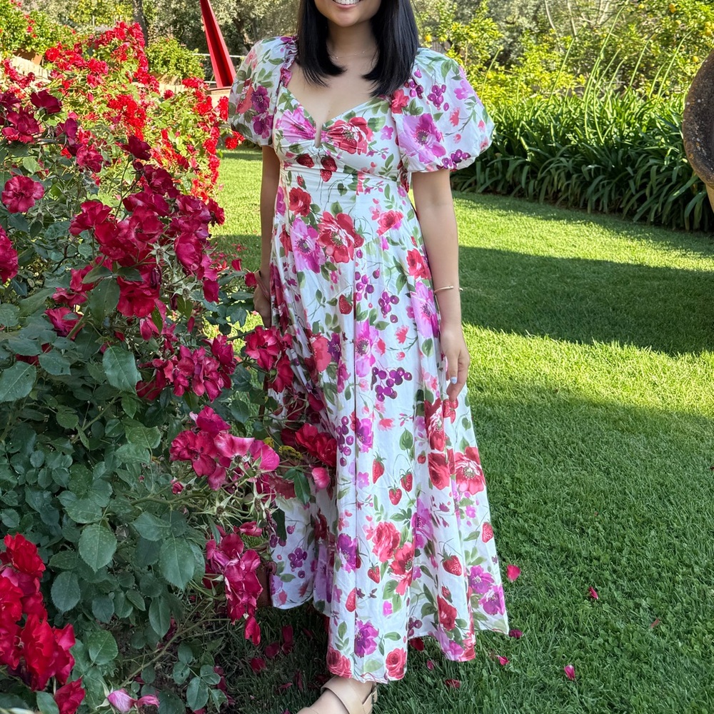 Abercrombie & Fitch Red and Pink Puff Sleeve Sundress